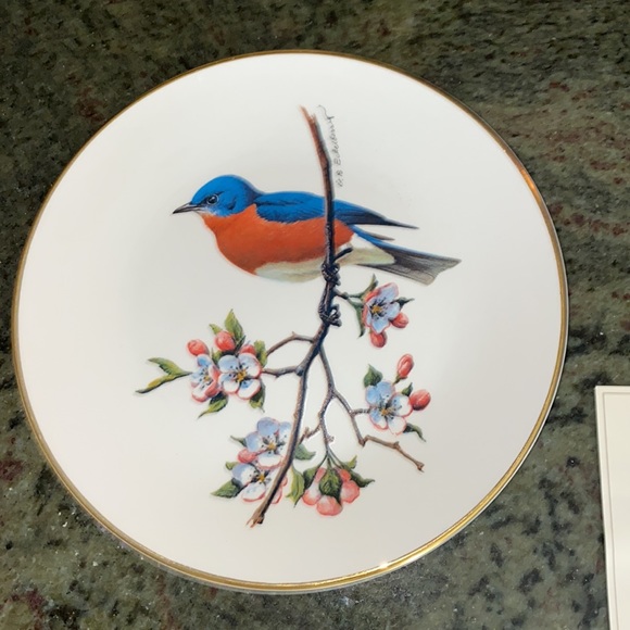 Avon Other - 1975 Avon Special Edition American Songbird Bluebird Plate IOB